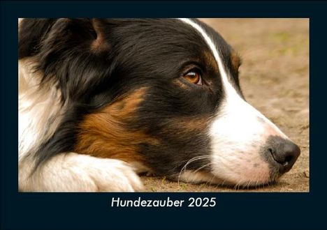 Tobias Becker: Hundezauber 2025 Fotokalender DIN A5, Kalender