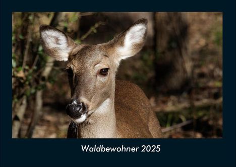 Tobias Becker: Waldbewohner 2025 Fotokalender DIN A4, Kalender