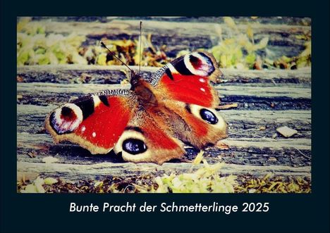 Tobias Becker: Bunte Pracht der Schmetterlinge 2025 Fotokalender DIN A4, Kalender