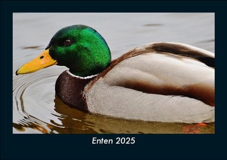 Tobias Becker: Enten 2025 Fotokalender DIN A5, Kalender