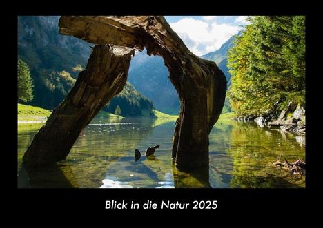 Tobias Becker: Blick in die Natur 2025 Fotokalender DIN A3, Kalender