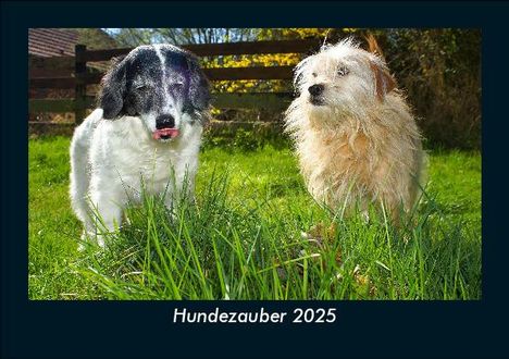 Tobias Becker: Hundezauber 2025 Fotokalender DIN A5, Kalender