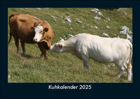 Tobias Becker: Kuhkalender 2025 Fotokalender DIN A5, Kalender