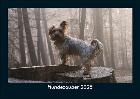 Tobias Becker: Hundezauber 2025 Fotokalender DIN A5, Kalender