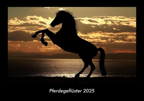 Tobias Becker: Pferdegeflüster 2025 Fotokalender DIN A3, Kalender