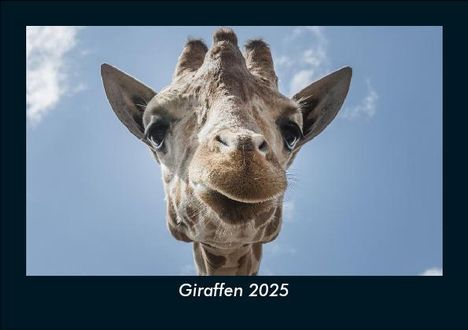 Tobias Becker: Giraffen 2025 Fotokalender DIN A5, Kalender