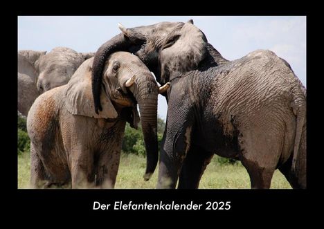 Tobias Becker: Der Elefantenkalender 2025 Fotokalender DIN A3, Kalender