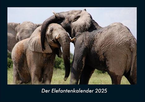 Tobias Becker: Der Elefantenkalender 2025 Fotokalender DIN A4, Kalender