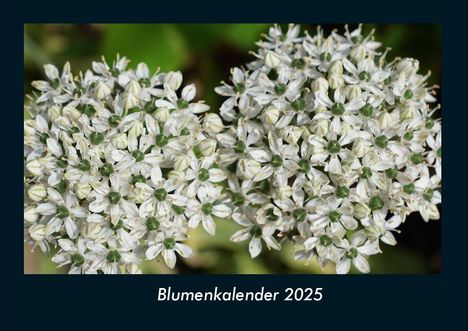 Tobias Becker: Blumenkalender 2025 Fotokalender DIN A4, Kalender