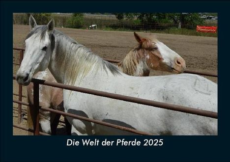 Tobias Becker: Die Welt der Pferde 2025 Fotokalender DIN A5, Kalender