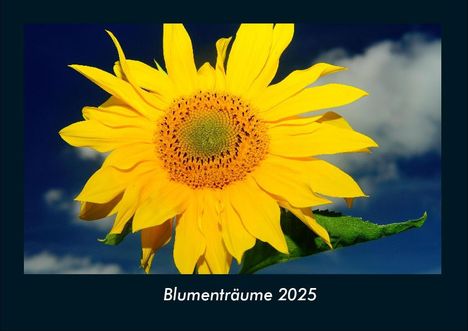 Tobias Becker: Blumenträume 2025 Fotokalender DIN A4, Kalender