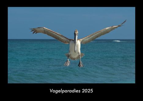 Tobias Becker: Vogelparadies 2025 Fotokalender DIN A3, Kalender