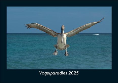 Tobias Becker: Vogelparadies 2025 Fotokalender DIN A5, Kalender