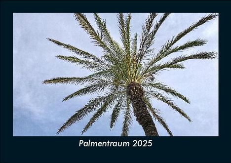 Tobias Becker: Palmentraum 2025 Fotokalender DIN A5, Kalender