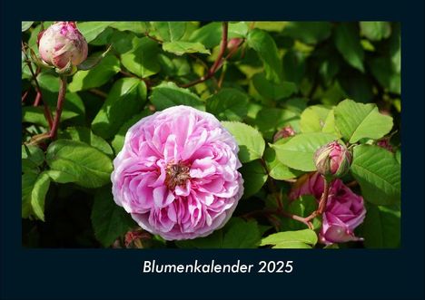 Tobias Becker: Blumenkalender 2025 Fotokalender DIN A4, Kalender