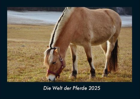 Tobias Becker: Die Welt der Pferde 2025 Fotokalender DIN A4, Kalender