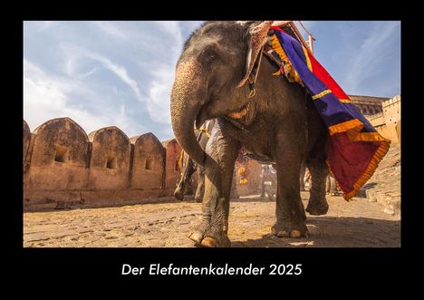 Tobias Becker: Der Elefantenkalender 2025 Fotokalender DIN A3, Kalender