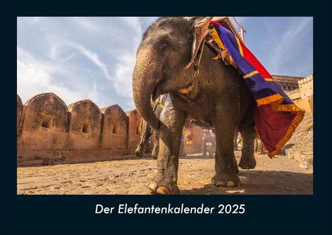 Tobias Becker: Der Elefantenkalender 2025 Fotokalender DIN A4, Kalender