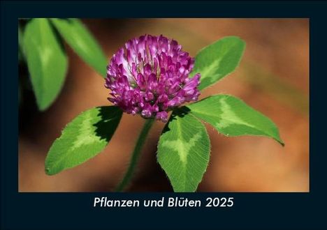 Tobias Becker: Pflanzen und Blüten 2025 Fotokalender DIN A5, Kalender