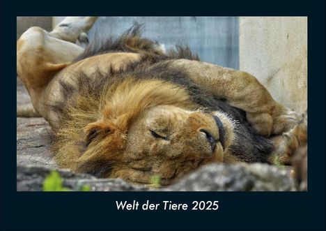 Tobias Becker: Welt der Tiere 2025 Fotokalender DIN A4, Kalender