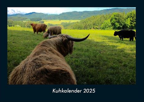 Tobias Becker: Kuhkalender 2025 Fotokalender DIN A4, Kalender