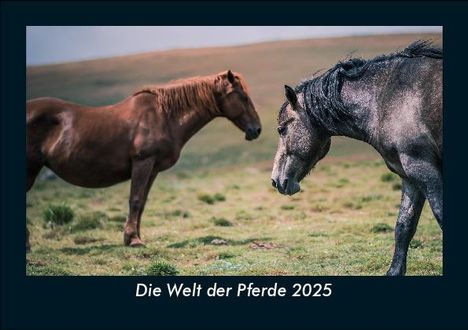 Tobias Becker: Die Welt der Pferde 2025 Fotokalender DIN A5, Kalender