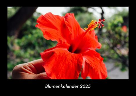 Tobias Becker: Blumenkalender 2025 Fotokalender DIN A3, Kalender