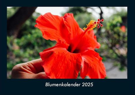 Tobias Becker: Blumenkalender 2025 Fotokalender DIN A4, Kalender