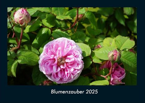 Tobias Becker: Blumenzauber 2025 Fotokalender DIN A4, Kalender