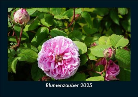 Tobias Becker: Blumenzauber 2025 Fotokalender DIN A5, Kalender