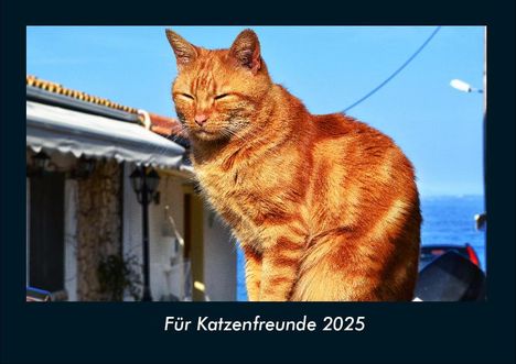 Tobias Becker: Für Katzenfreunde 2025 Fotokalender DIN A4, Kalender