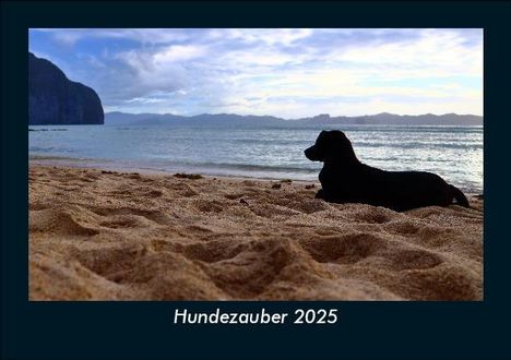 Tobias Becker: Hundezauber 2025 Fotokalender DIN A5, Kalender