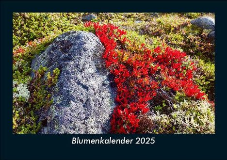 Tobias Becker: Blumenkalender 2025 Fotokalender DIN A5, Kalender