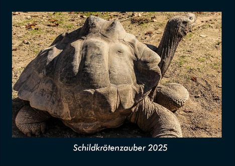 Tobias Becker: Schildkrötenzauber 2025 Fotokalender DIN A4, Kalender