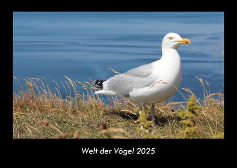 Tobias Becker: Welt der Vögel 2025 Fotokalender DIN A3, Kalender