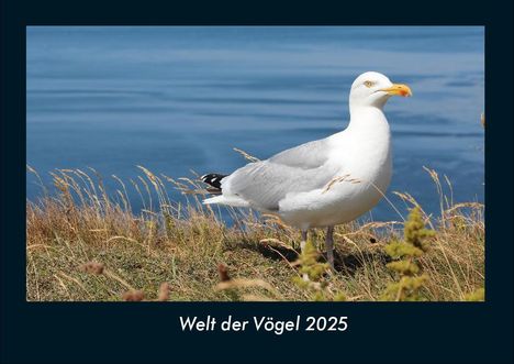 Tobias Becker: Welt der Vögel 2025 Fotokalender DIN A4, Kalender