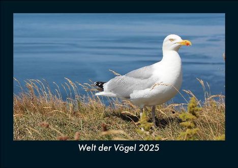 Tobias Becker: Welt der Vögel 2025 Fotokalender DIN A5, Kalender