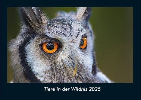 Tobias Becker: Tiere in der Wildnis 2025 Fotokalender DIN A4, Kalender