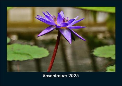 Tobias Becker: Rosentraum 2025 Fotokalender DIN A5, Kalender