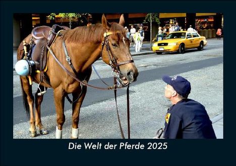 Tobias Becker: Die Welt der Pferde 2025 Fotokalender DIN A5, Kalender