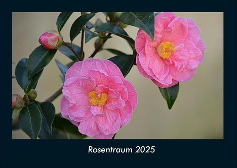 Tobias Becker: Rosentraum 2025 Fotokalender DIN A4, Kalender