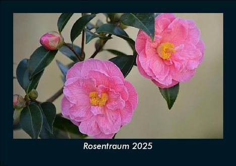 Tobias Becker: Rosentraum 2025 Fotokalender DIN A5, Kalender