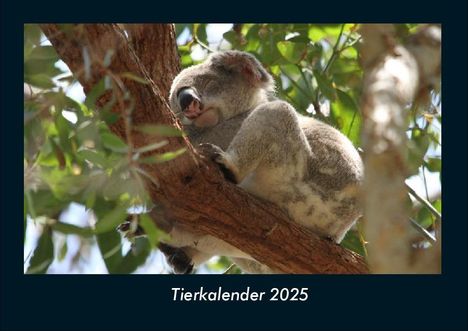 Tobias Becker: Tierkalender 2025 Fotokalender DIN A4, Kalender