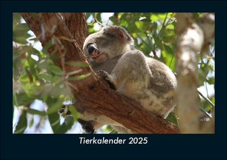 Tobias Becker: Tierkalender 2025 Fotokalender DIN A5, Kalender