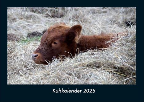 Tobias Becker: Kuhkalender 2025 Fotokalender DIN A4, Kalender