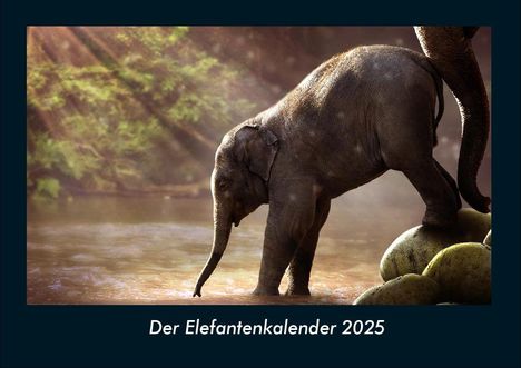 Tobias Becker: Der Elefantenkalender 2025 Fotokalender DIN A4, Kalender