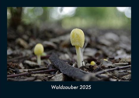 Tobias Becker: Waldzauber 2025 Fotokalender DIN A4, Kalender