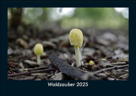 Tobias Becker: Waldzauber 2025 Fotokalender DIN A5, Kalender