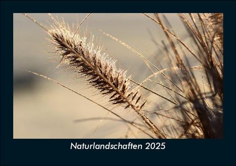 Tobias Becker: Naturlandschaften 2025 Fotokalender DIN A5, Kalender