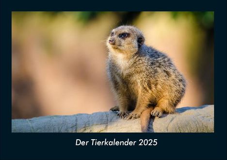 Tobias Becker: Der Tierkalender 2025 Fotokalender DIN A4, Kalender